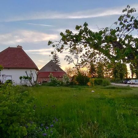 Saint-Symphorien-sur-Saone Domaine Ravy-Lilas מראה חיצוני תמונה