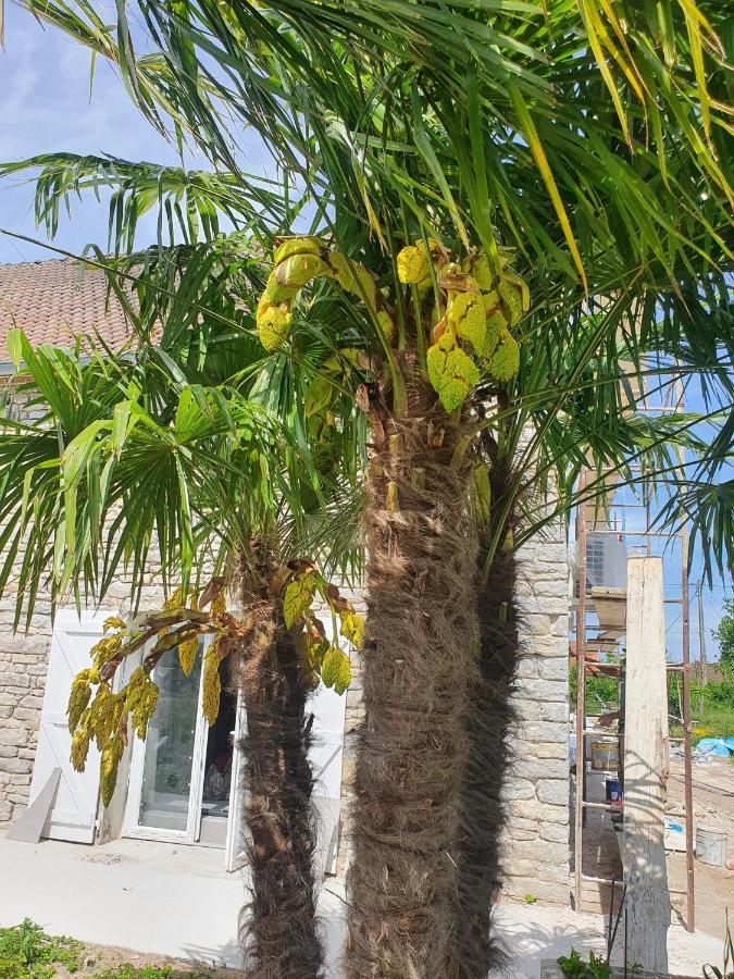 Saint-Symphorien-sur-Saone Domaine Ravy-Lilas מראה חיצוני תמונה